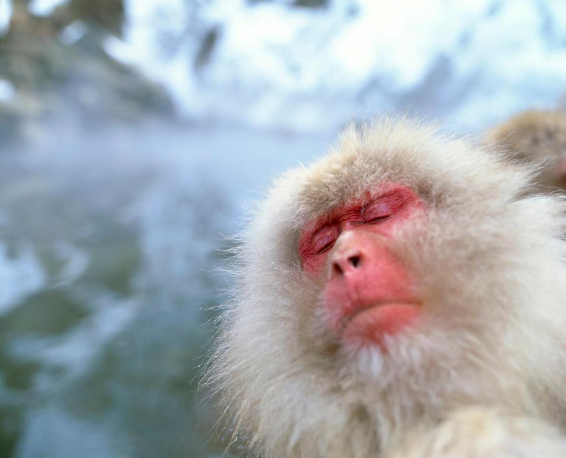 Kamei No Yu Yamanouchi  Dış mekan fotoğraf