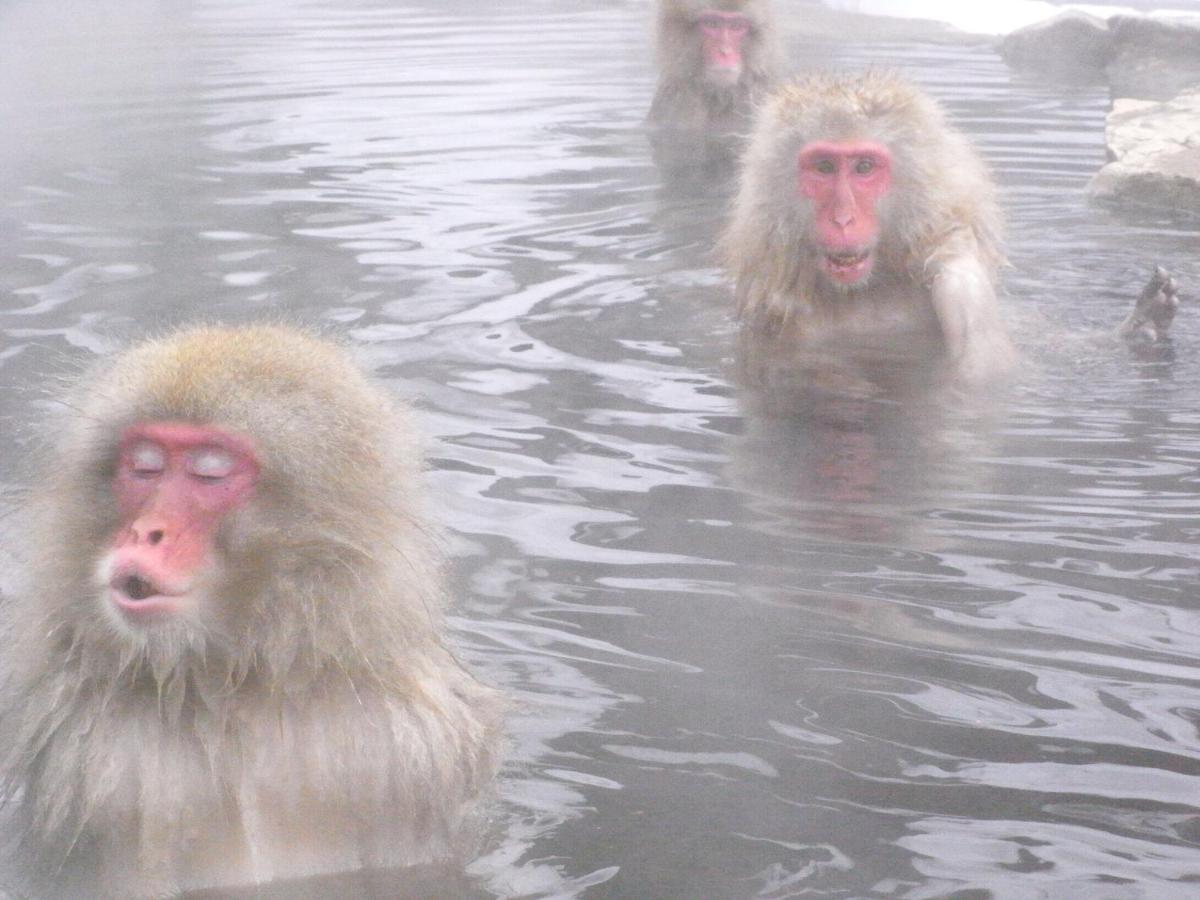 Kamei No Yu Yamanouchi  Dış mekan fotoğraf